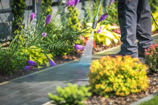 Best Sidewalk and Walkway Cleaning  in Caribou, ME